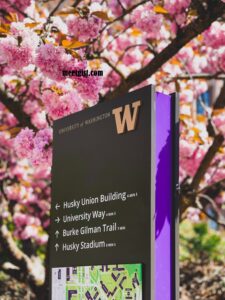 university of washington acceptance rate