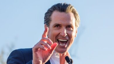 Gavin Newsom Net Worth